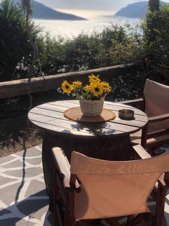 Niotis Studios Skaliá Dış mekan fotoğraf
